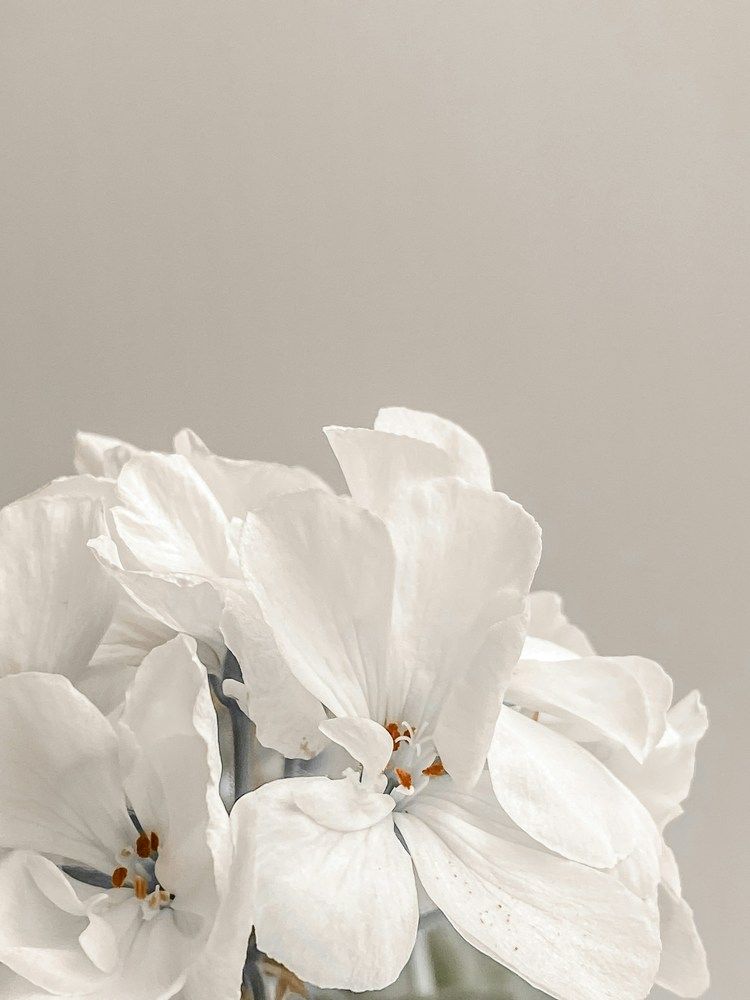 Photograph by Юлия Соколова