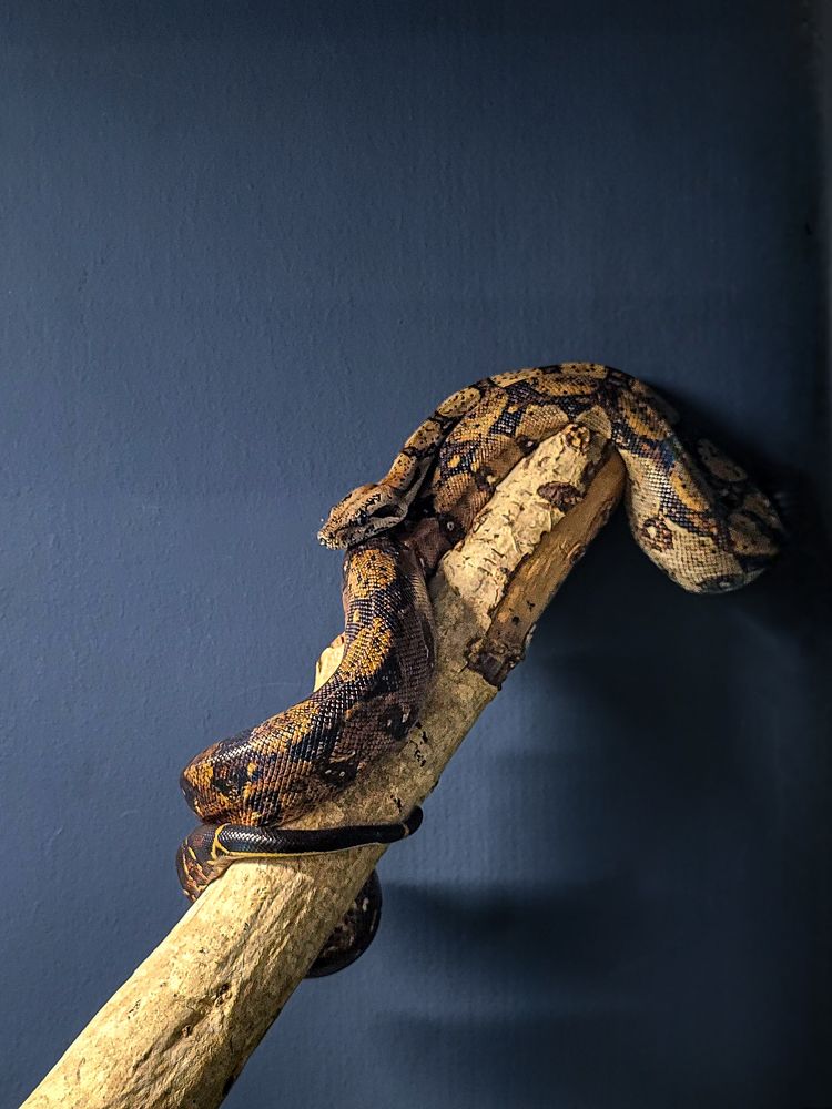 Photograph by ADARSH AJ