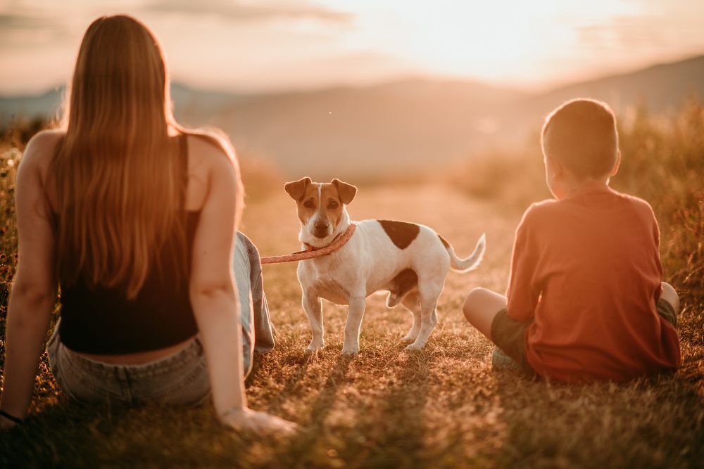 Photograph by Sandra Tines