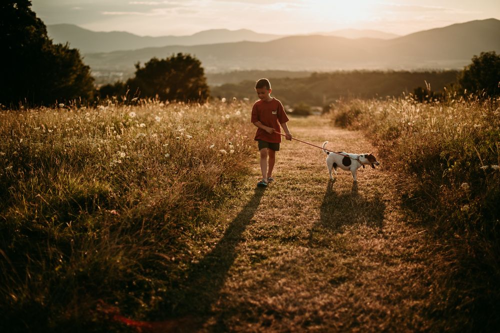 Photograph by Sandra Tines