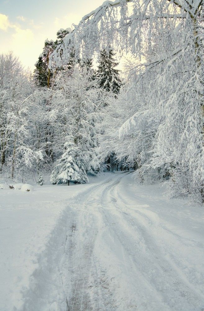 Photograph by Janis Serdienis