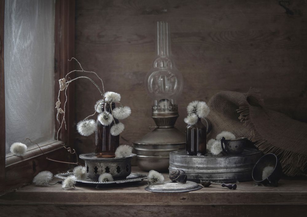 Фотография автора Шипунова Ирина