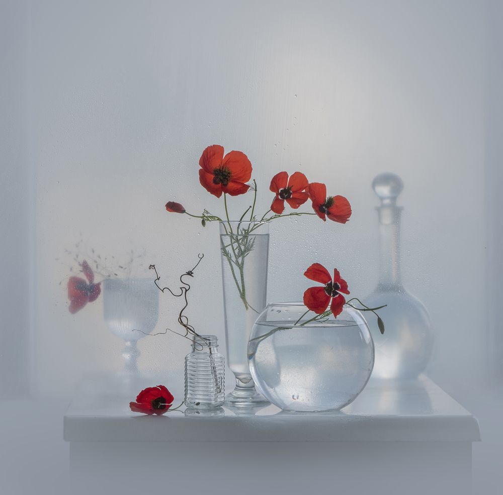 Как бабочки порхают маки...