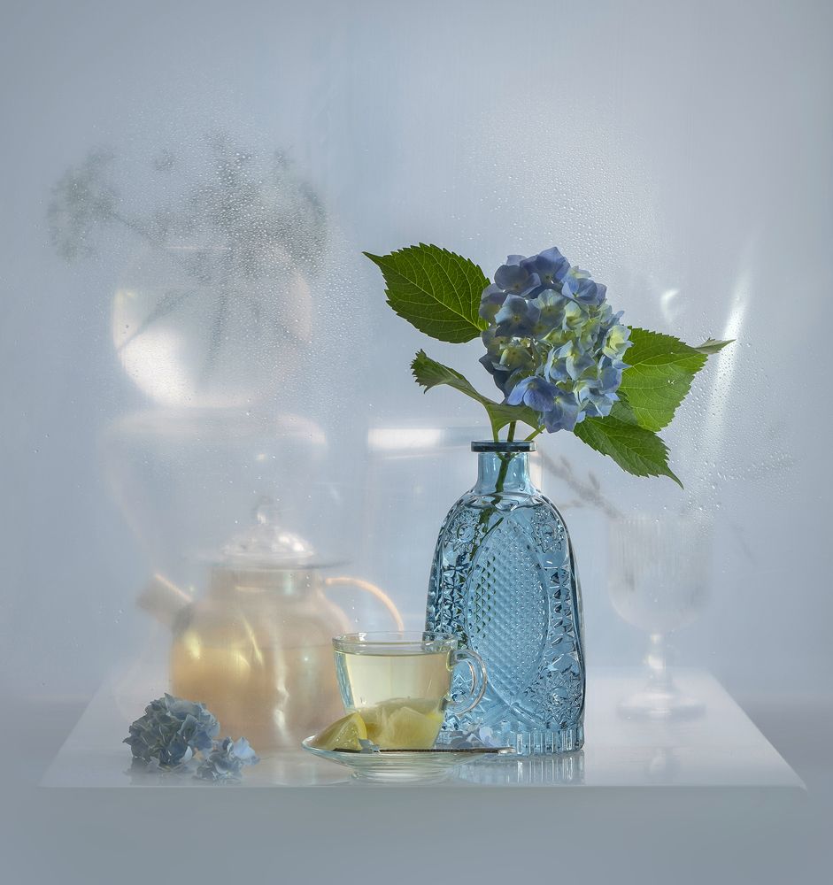 Фотография автора Шипунова Ирина