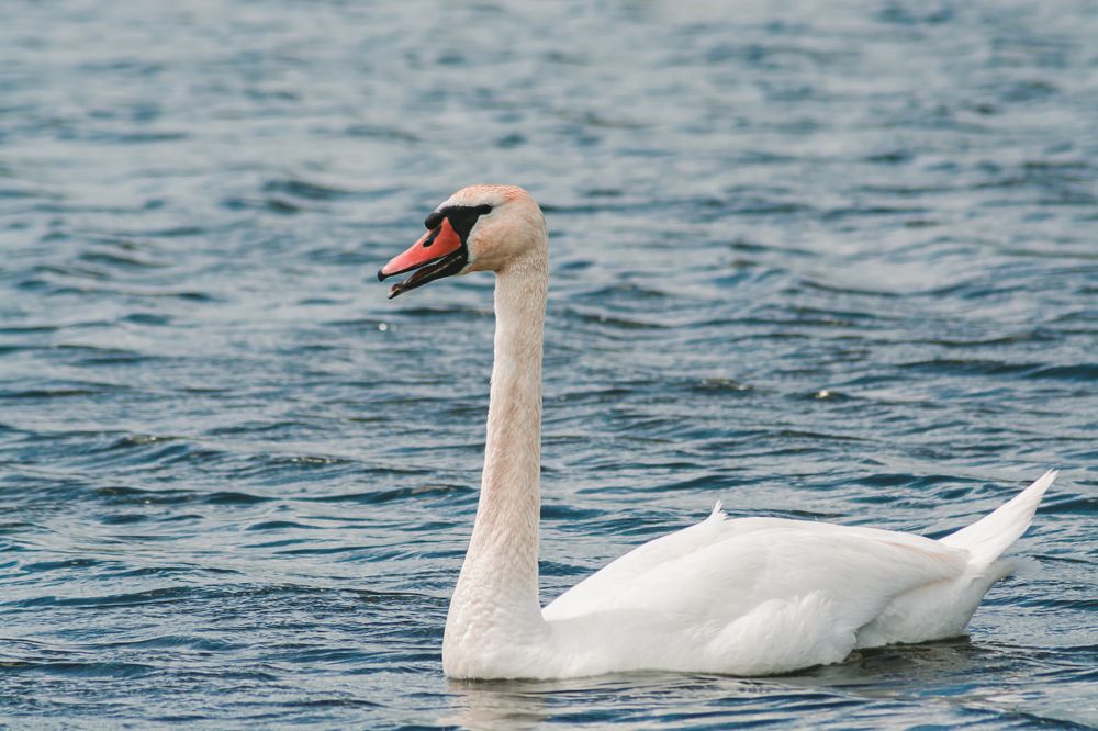 Фотография автора Владислав Белоус