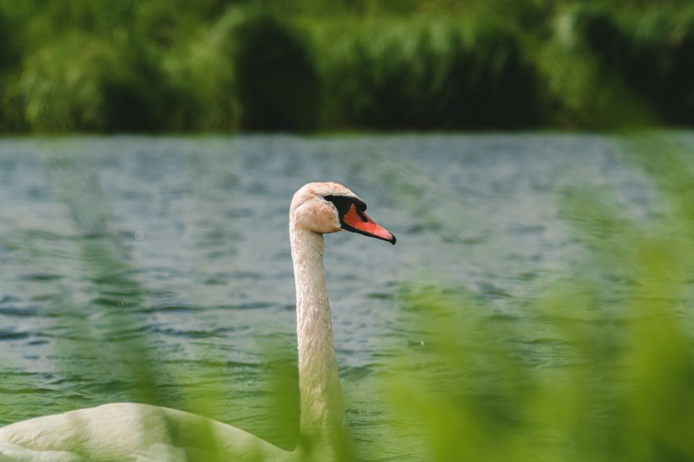 Фотография автора Владислав Белоус