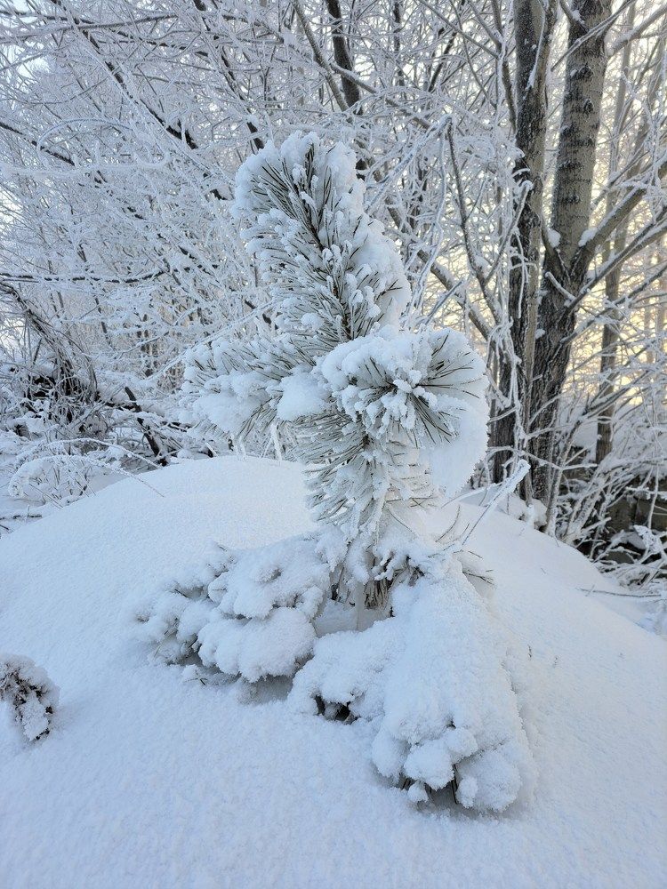 Photograph by Любовь Войтишина