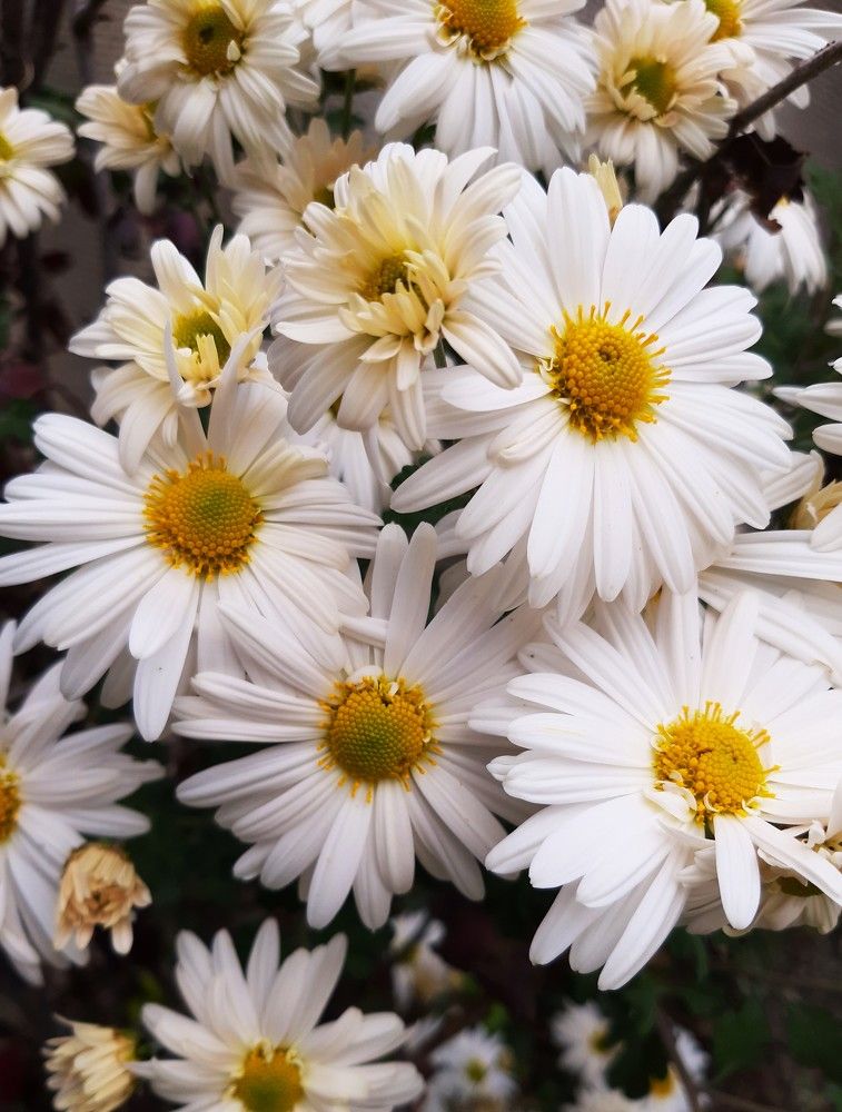 Photograph by Галина Глазкова