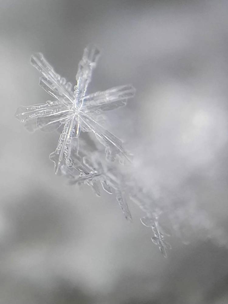 Photograph by Любовь Войтишина