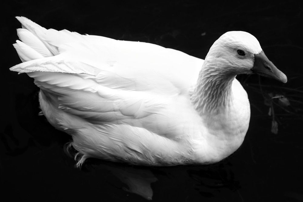 Photograph by volkan akan