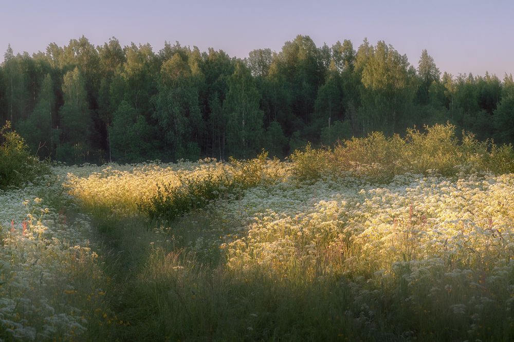 Photograph by Елена Амозова