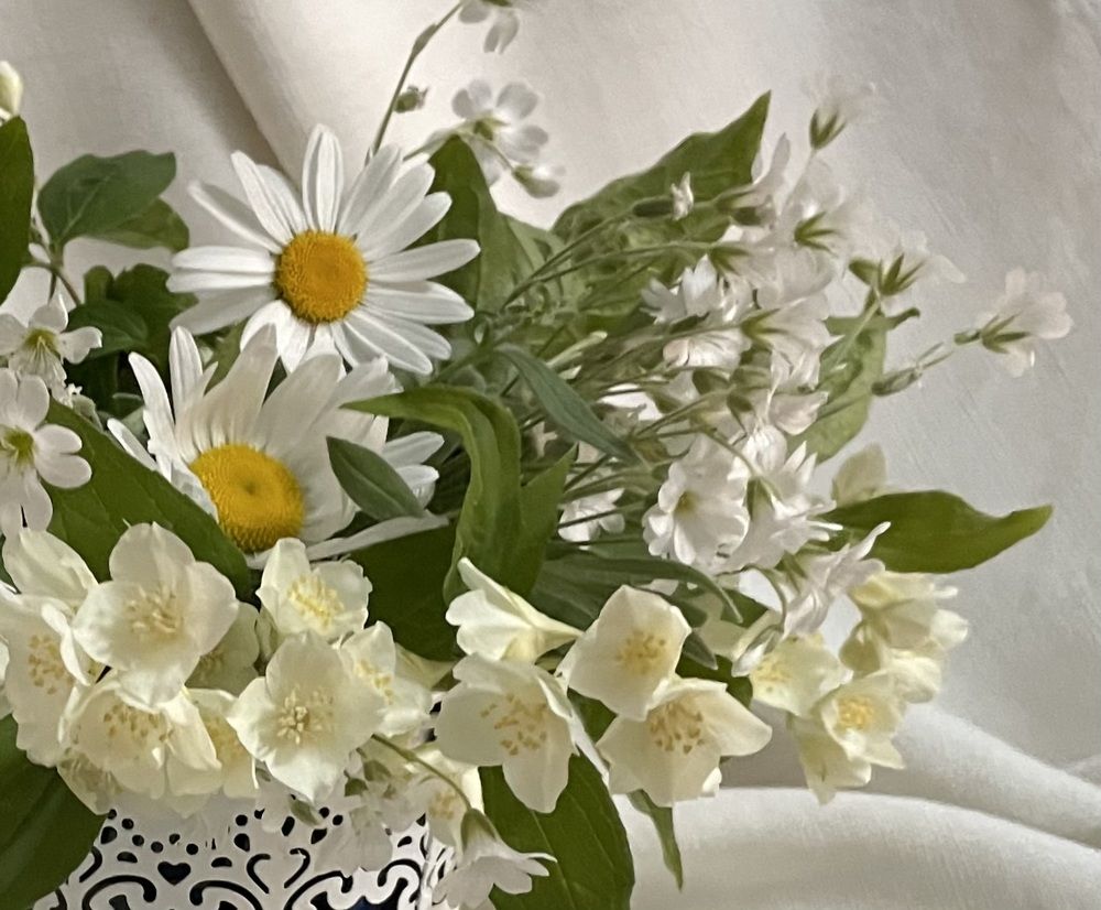 Photograph by ЛИЛИЯ БОБКО