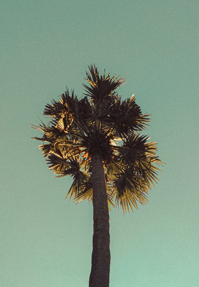 Minimalistic