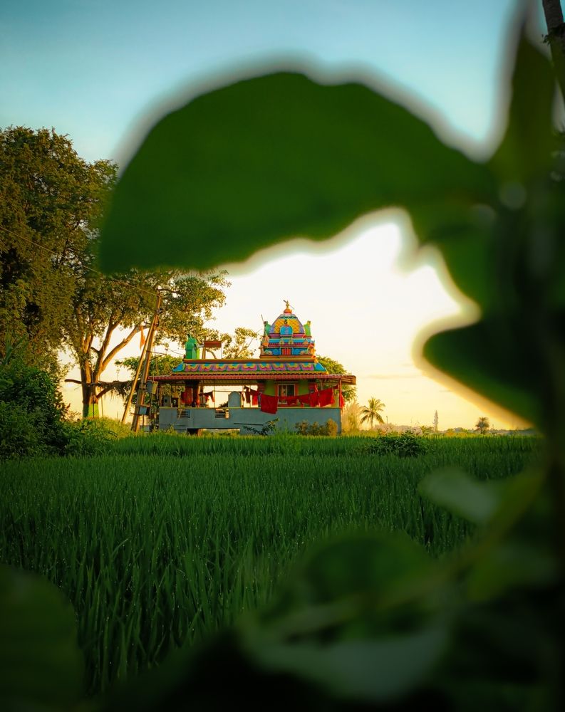 When Spirituality and nature come together.