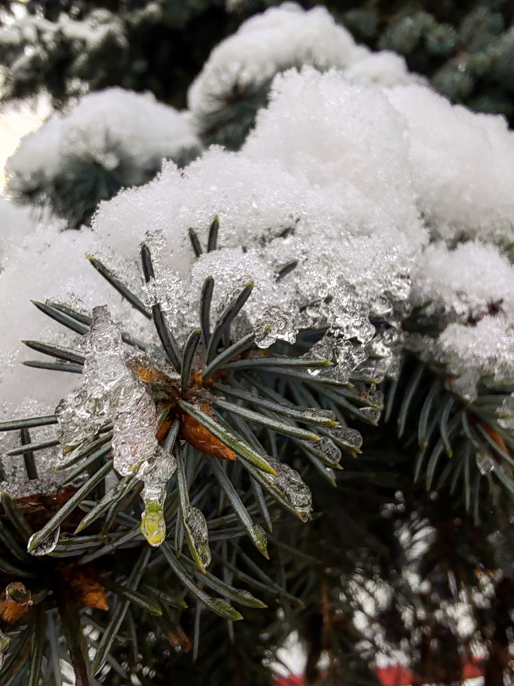 Фотография автора Любовь