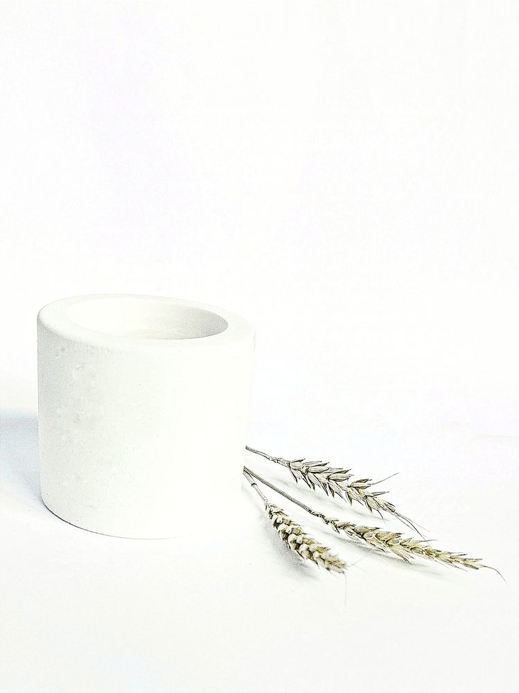 Photograph by Наталья Москвина