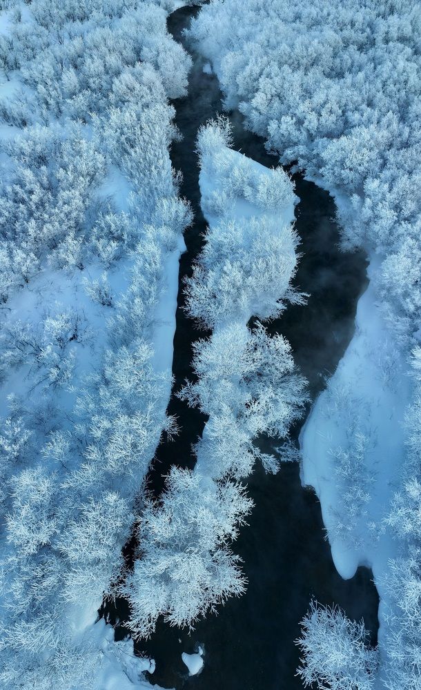 Белые берега