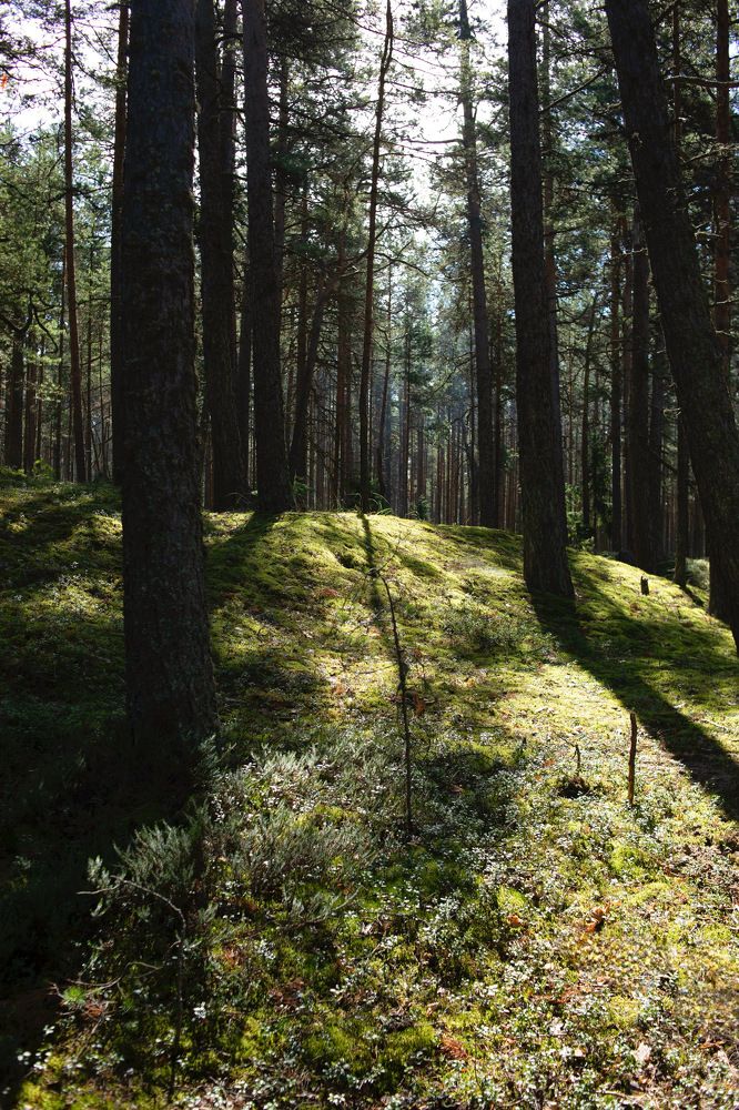 Photograph by Анастасия