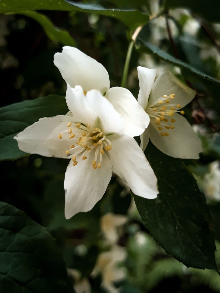 Photograph by Людмила Худякова