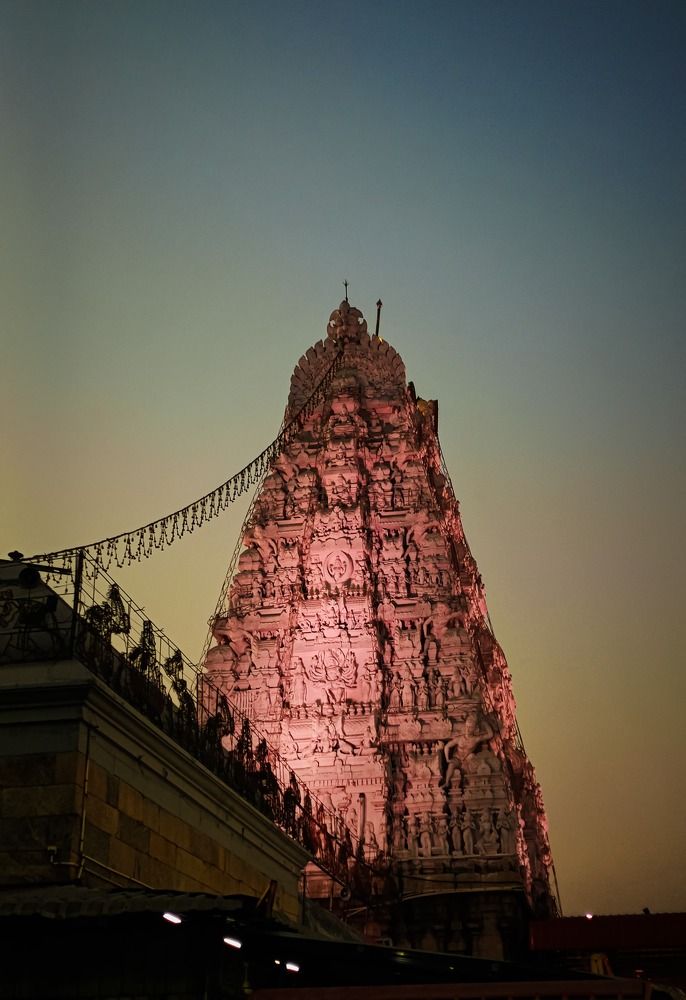 Фотография автора Arush