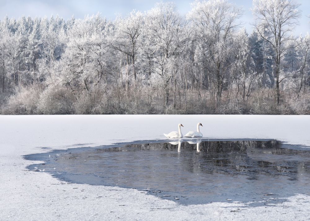 Photograph by LYUDMYLA POKRYSHEN