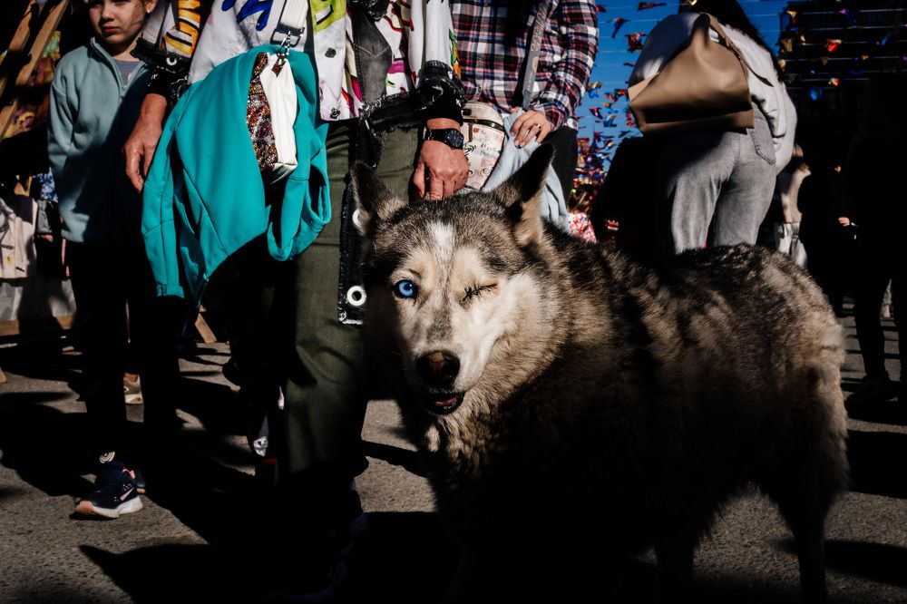 Фотография автора Андрей Хрулёв