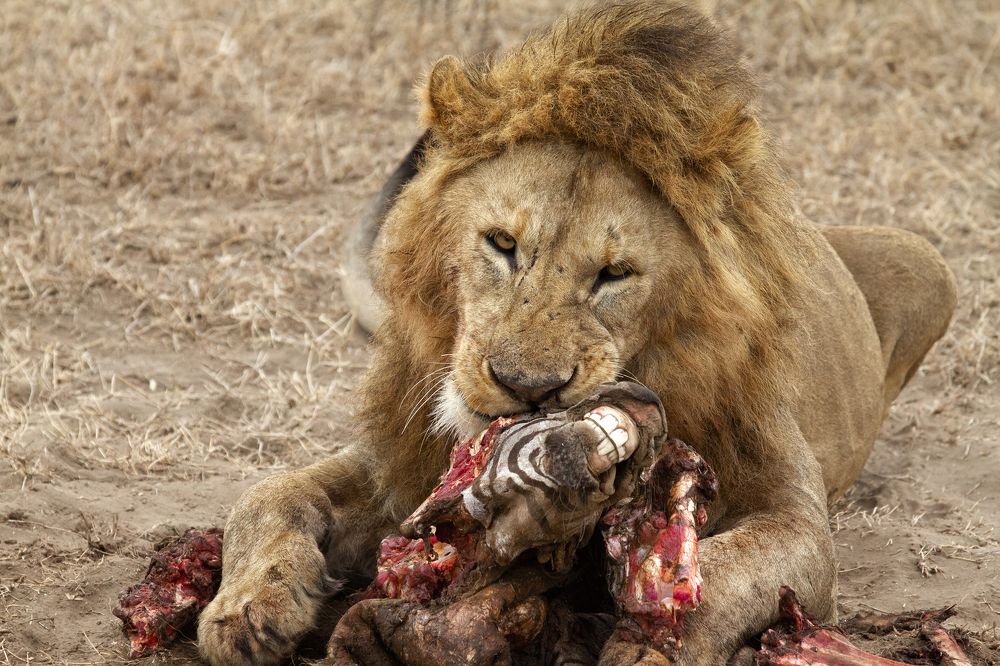 Photograph by Вячеслав Залитко