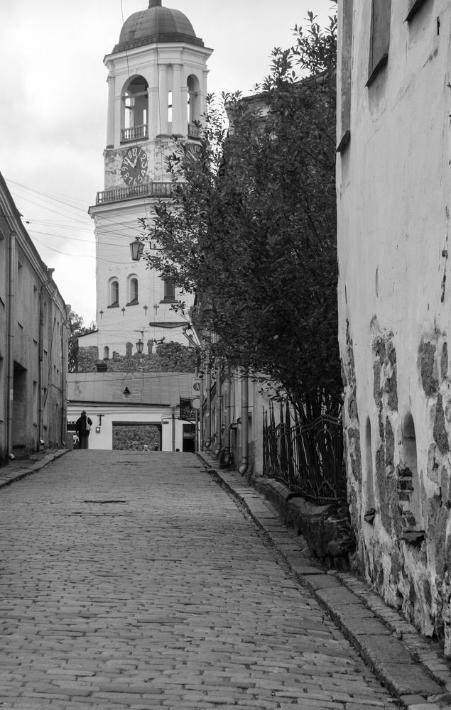 Photograph by Анастасия Перминова