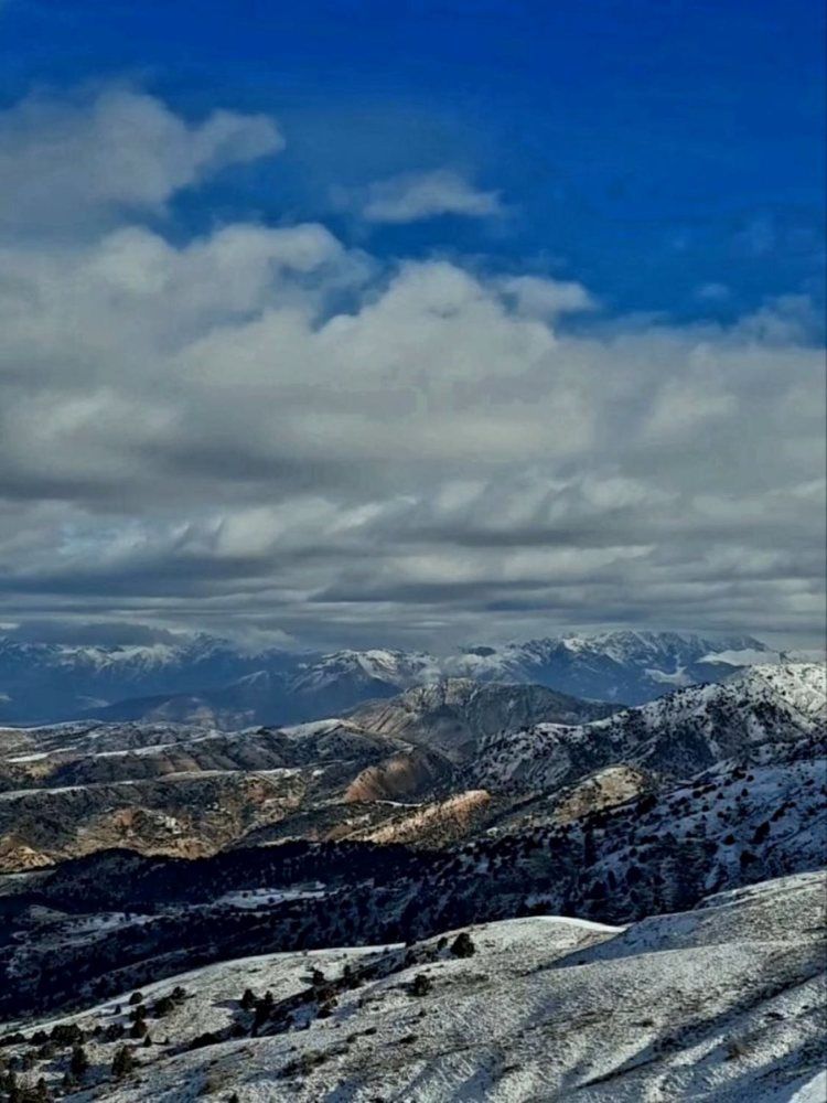 Photograph by Юлия Каранго