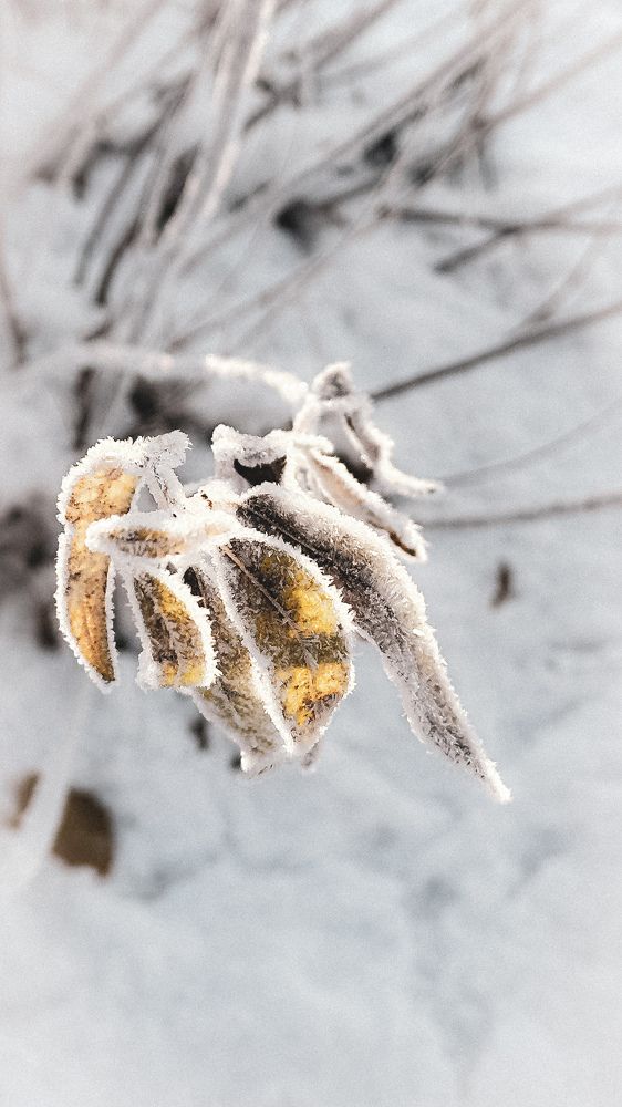 Фотография автора Наталья Тургулайнен