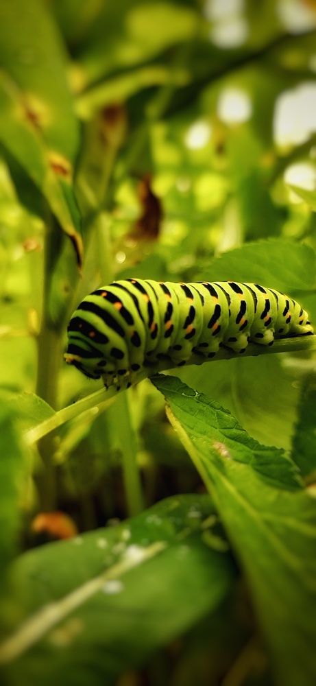 Photograph by Игорь Тюменцев