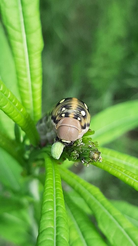 Photograph by Игорь Тюменцев