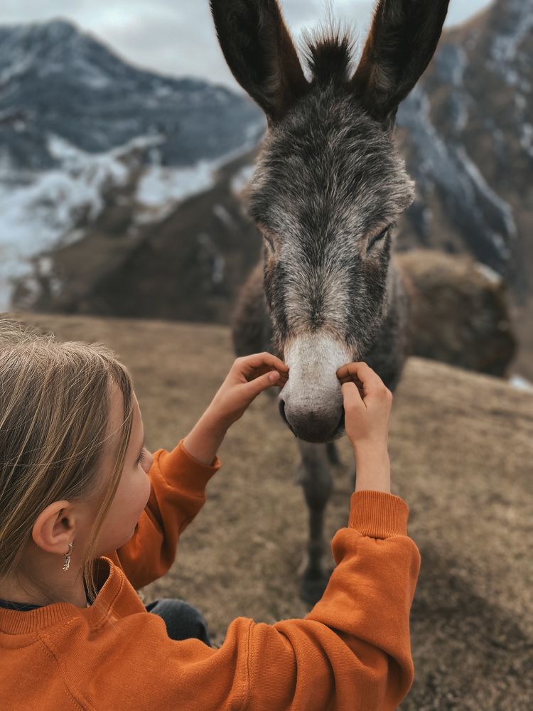 Photograph by Анастасия