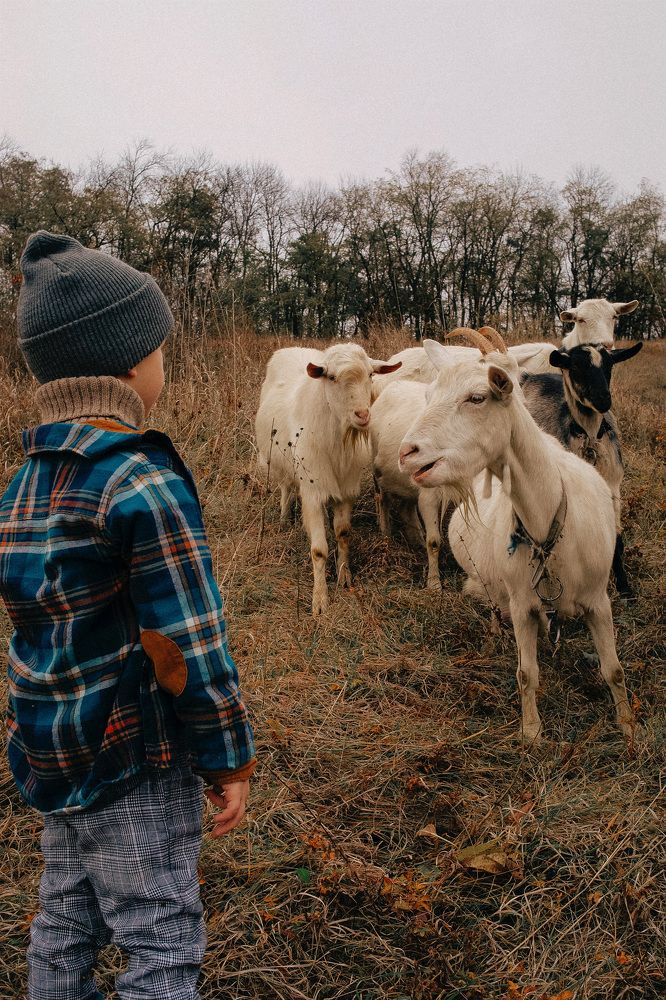 Photograph by Анастасия