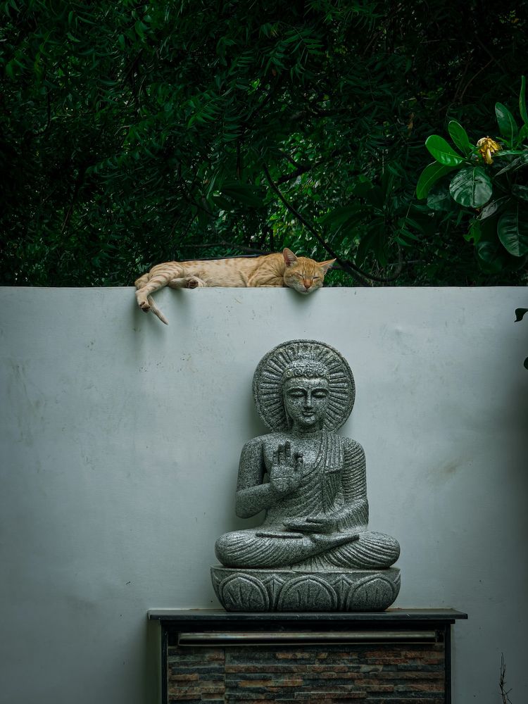Harmony in stillness