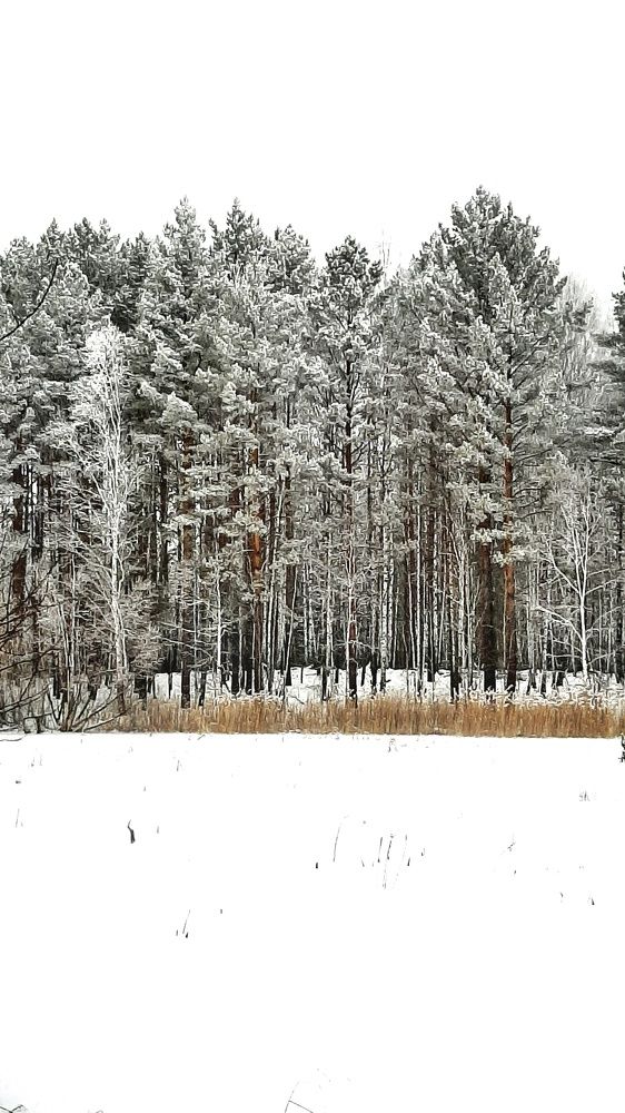 Photograph by Игорь Тюменцев