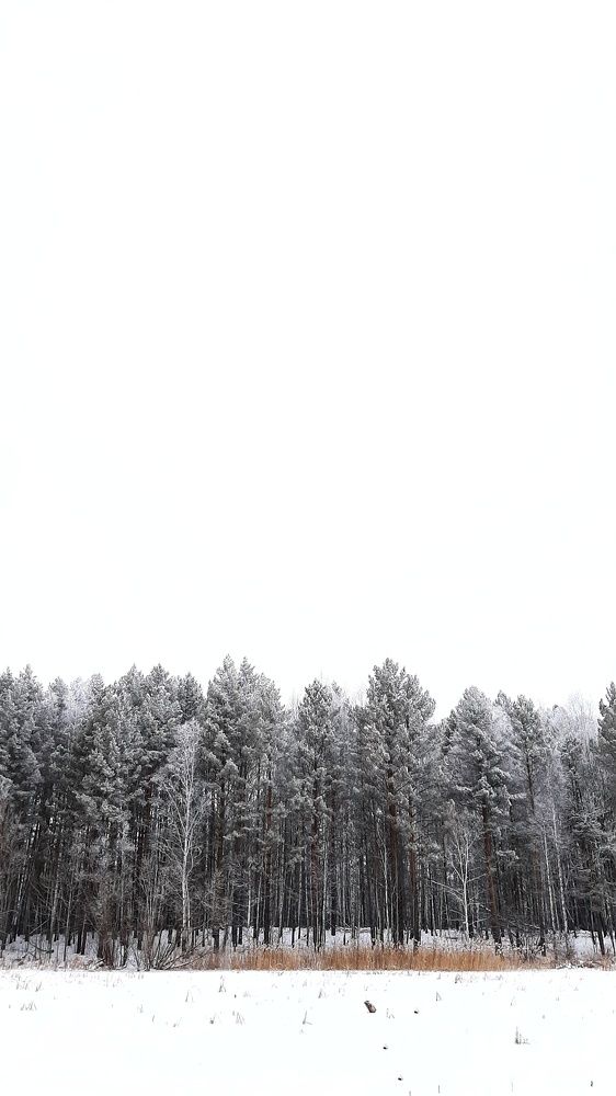 Photograph by Игорь Тюменцев