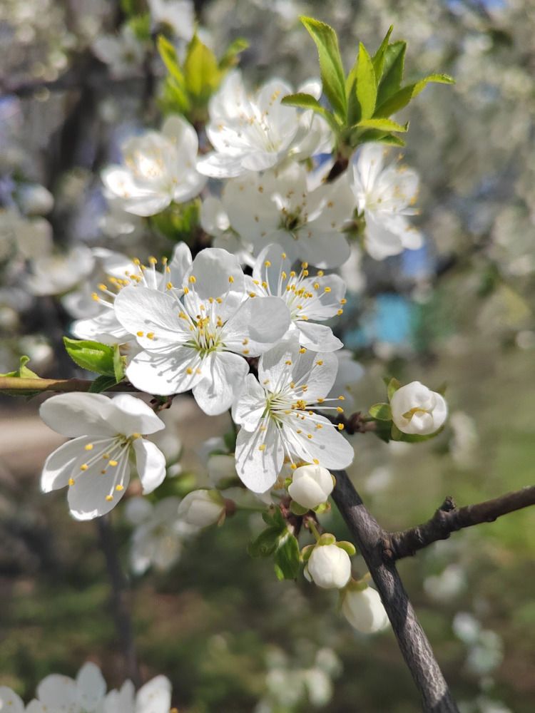 Photograph by Куделенко Оксана