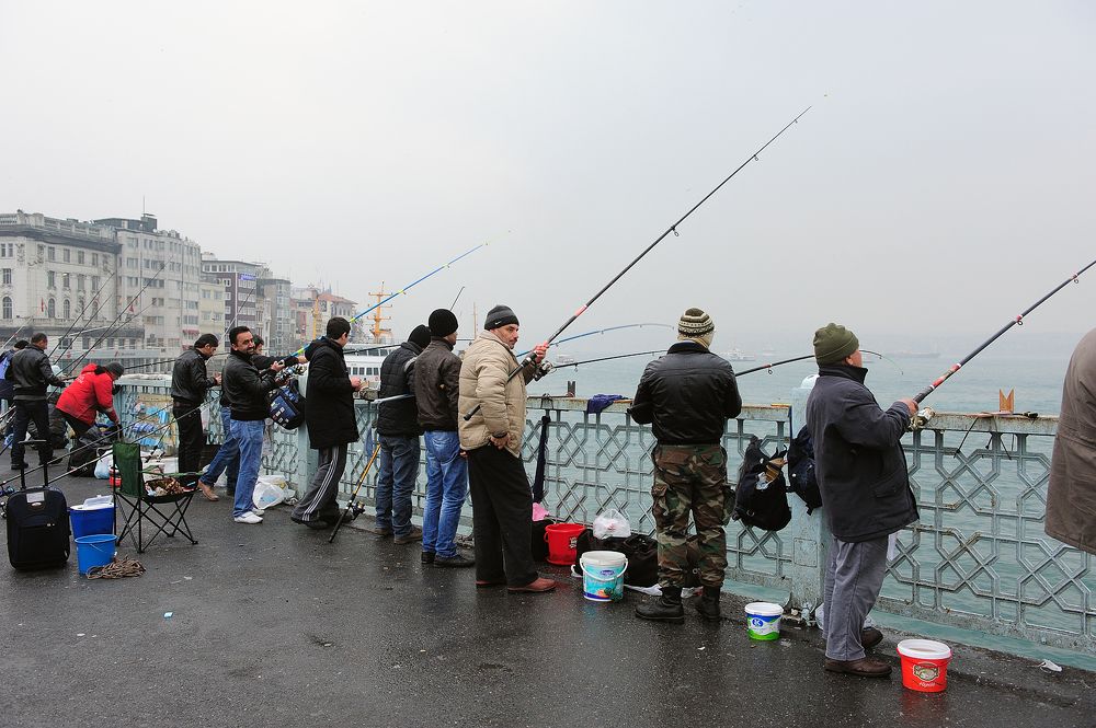 Photograph by Сергей Сережников