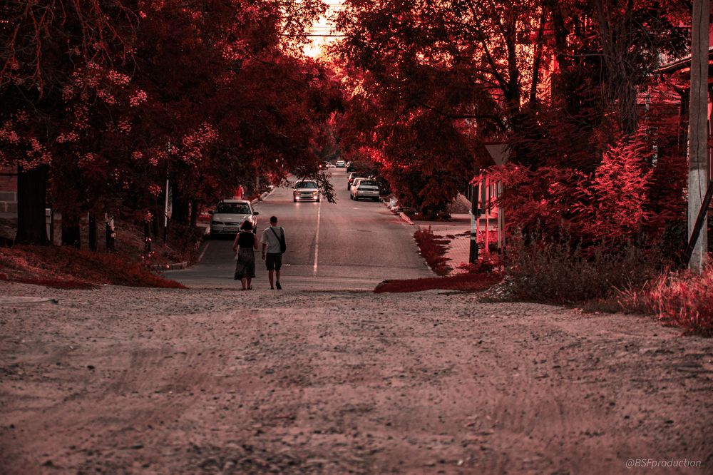 Photograph by Савелий Канцедал