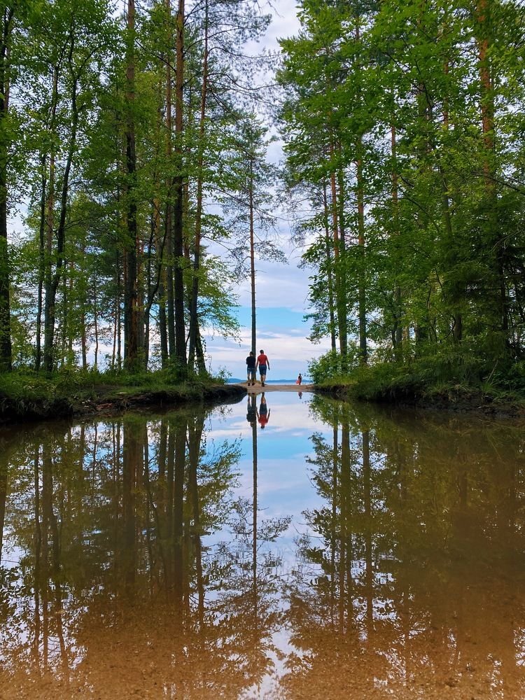 Photograph by Анастасия