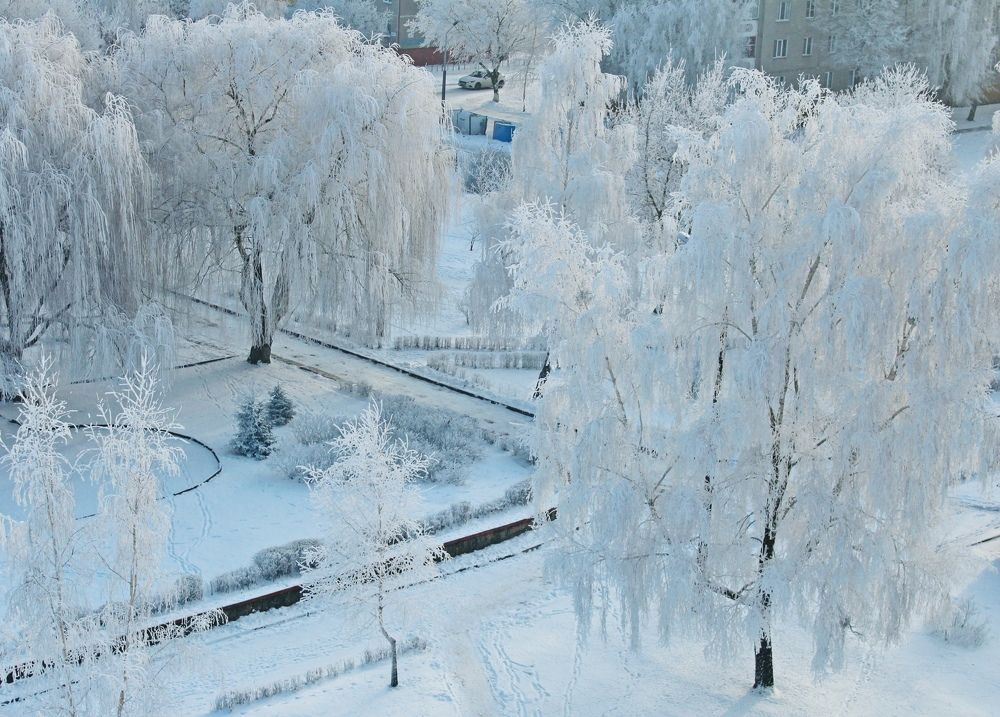 Photograph by Galina Tsmyg