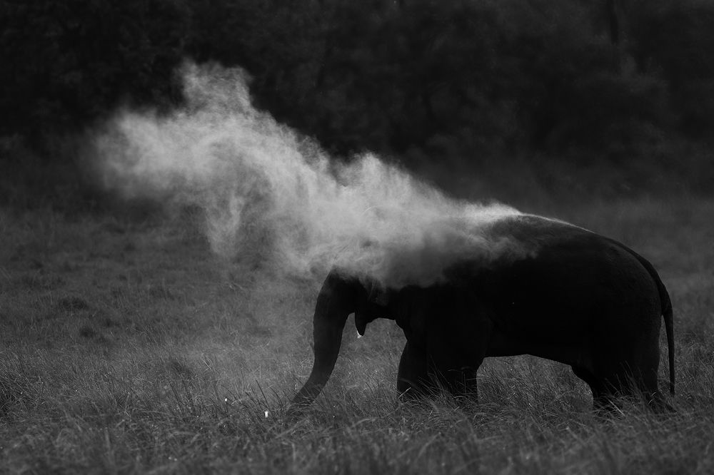 Photograph by Sandeep Dutta