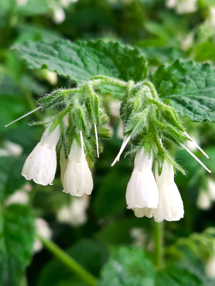 Photograph by Галина Глазкова