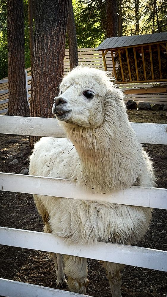 Photograph by Ekaterina Slepneva