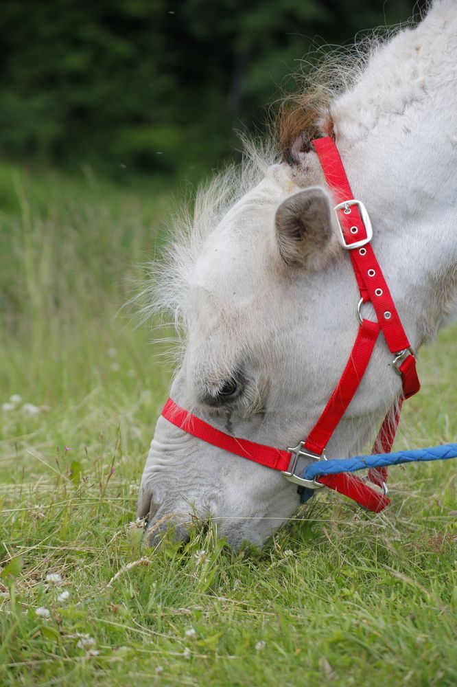 Photograph by Евфросиния Капустина