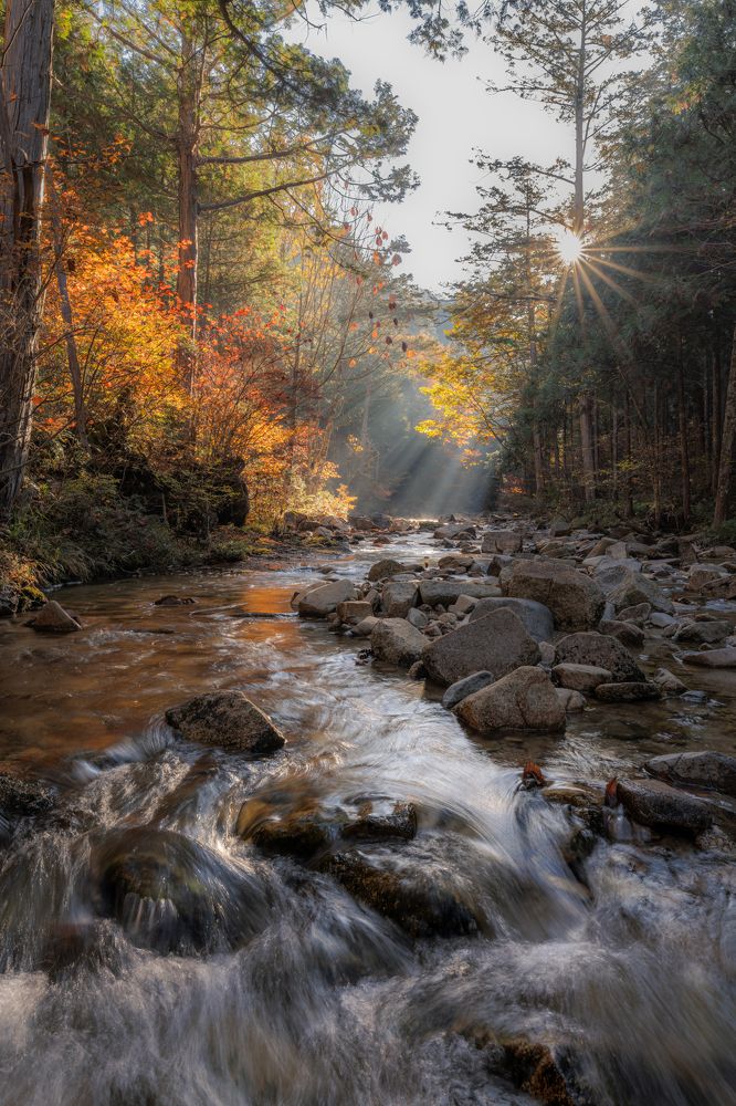 Фотография автора 佐川貴史