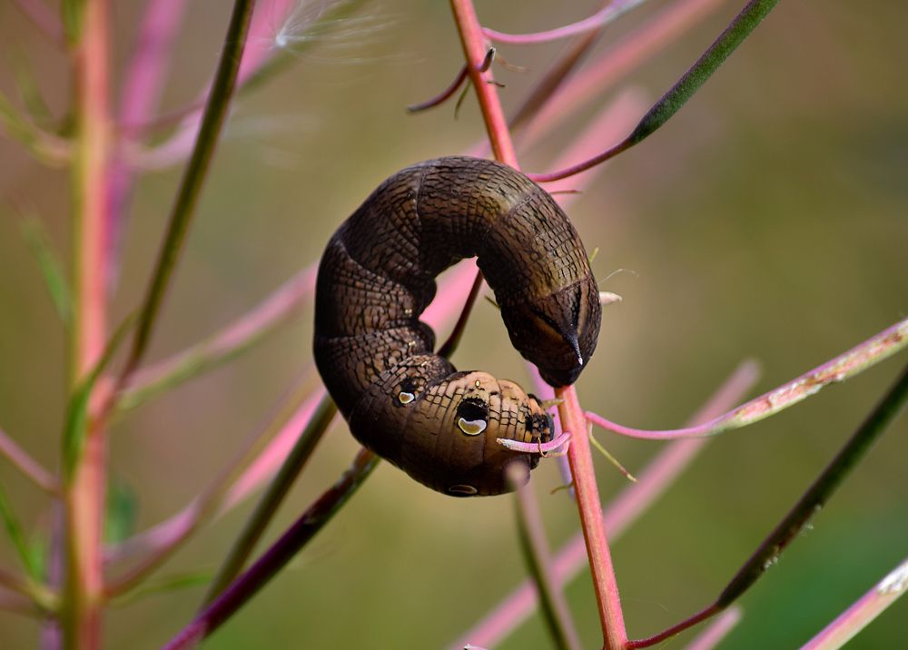 Photograph by Оксана Льдинина