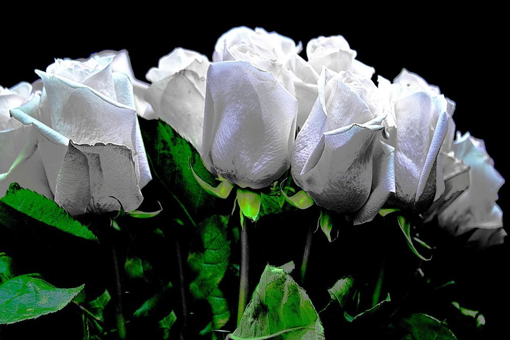 Photograph by Вадим Гераскин