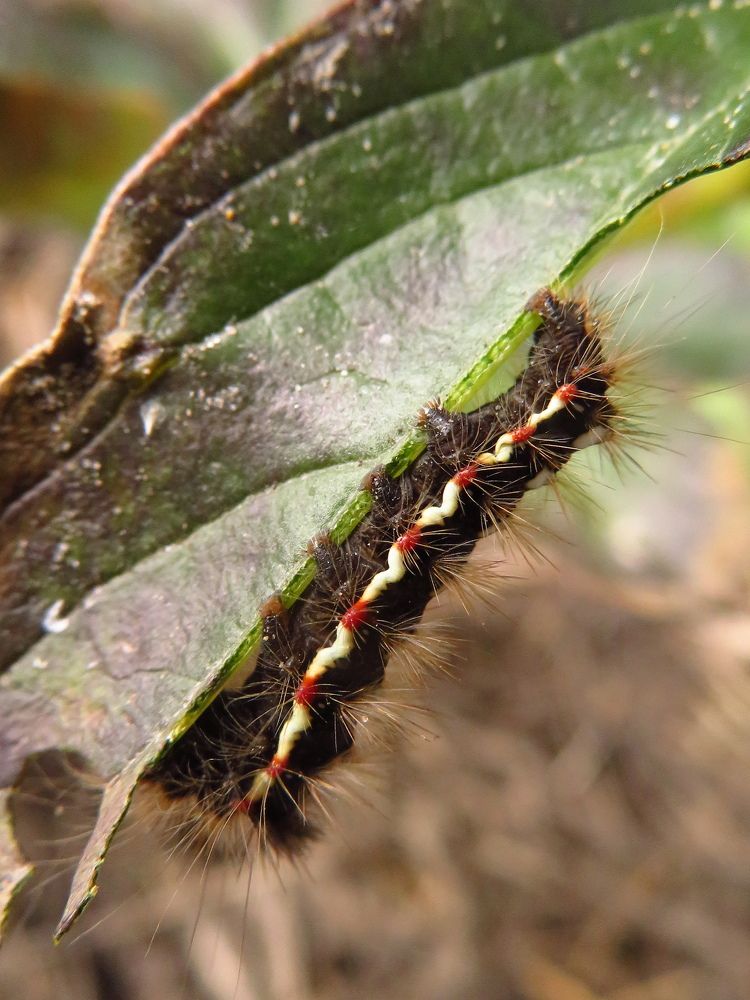 Photograph by Мария Кодун-Иванова